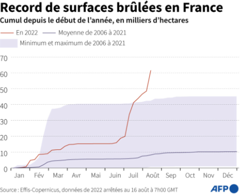 AFP__record_de_surface_bulees_en_France_16_aout_2022.png